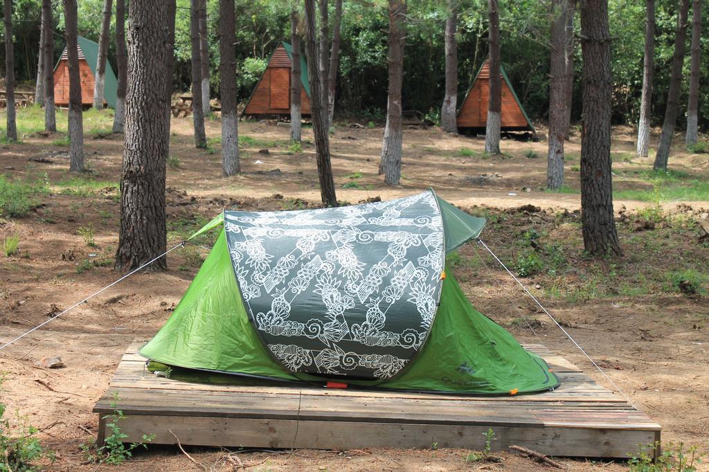 Camping *